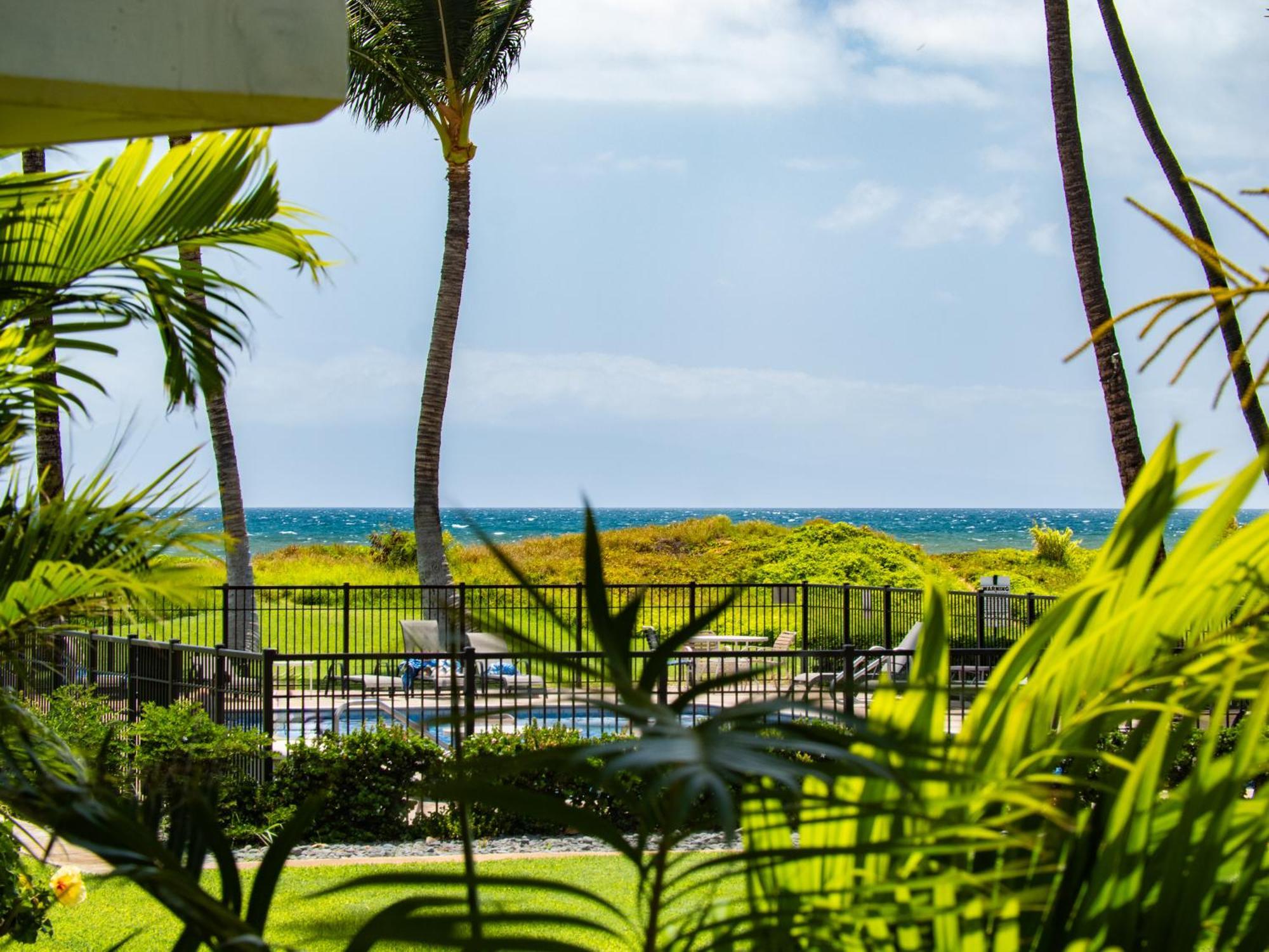 Wbh D116 Aloha Wai - Garden Suite Just Steps From The Sea Kihei Esterno foto
